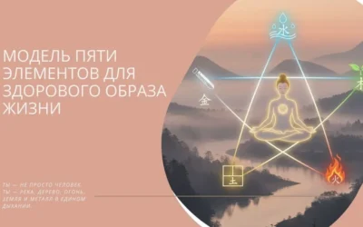 Модель Пяти Элементов для здорового образа жизни