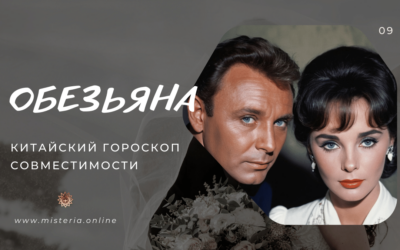Дикая и Остроумная Обезьяна