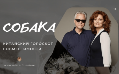 Знак Собаки