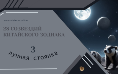 Ди — Основа (Сю 3)