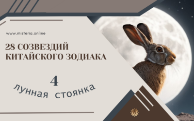 Фан — Дом (Сю 4)