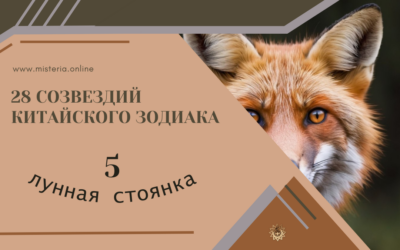 Синь — Сердце (Сю 5)