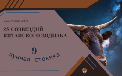 Ню — Бык (Сю 9)