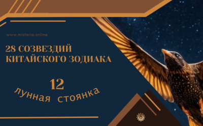 Вэй — Опасность (Сю 12)