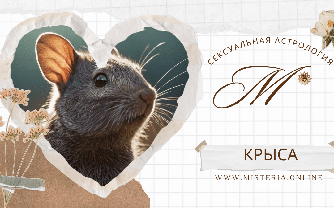 Seksualnaya astrologiya nebes. Pohotlivaya Krisa