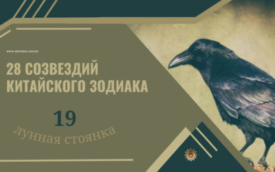 Би — Сеть (Сю 19)