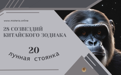 Цзуй — Клюв (Сю 20)