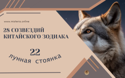 Созвездие 22. Колодец (Цзин, Сю 22)