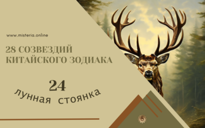Созвездие 24. Ива (Лю, Сю 24)