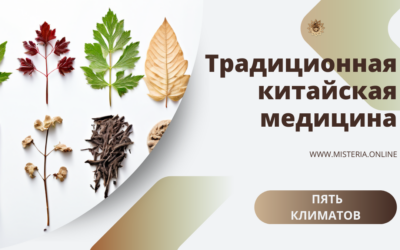Пять климатов в ТКМ