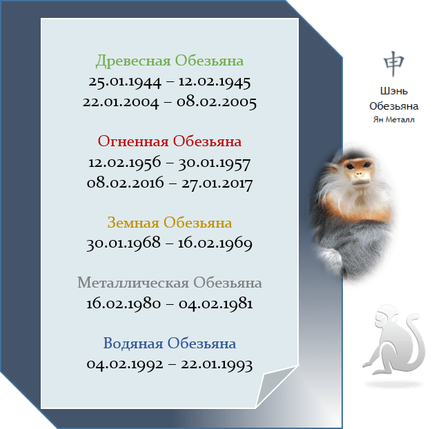 Годы рождения Обезьяны: 1944, 1956, 1968, 1980, 1992, 2004, 2016 — астропрогноз 2025 обезьяна