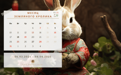 Астрологические рекомендации для месяца Кролика