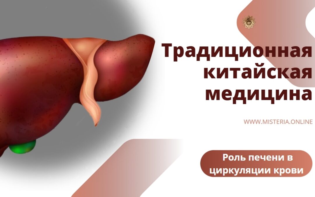 Rol pecheni v cirkulyacii krovi i raspredelenii resursov