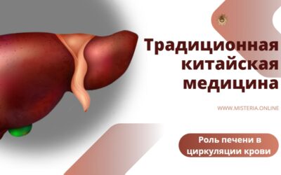Роль печени в циркуляции крови