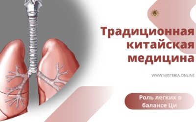 Роль легких в организме человека