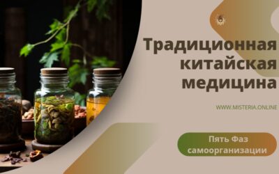 Пять Фаз в китайской медицине