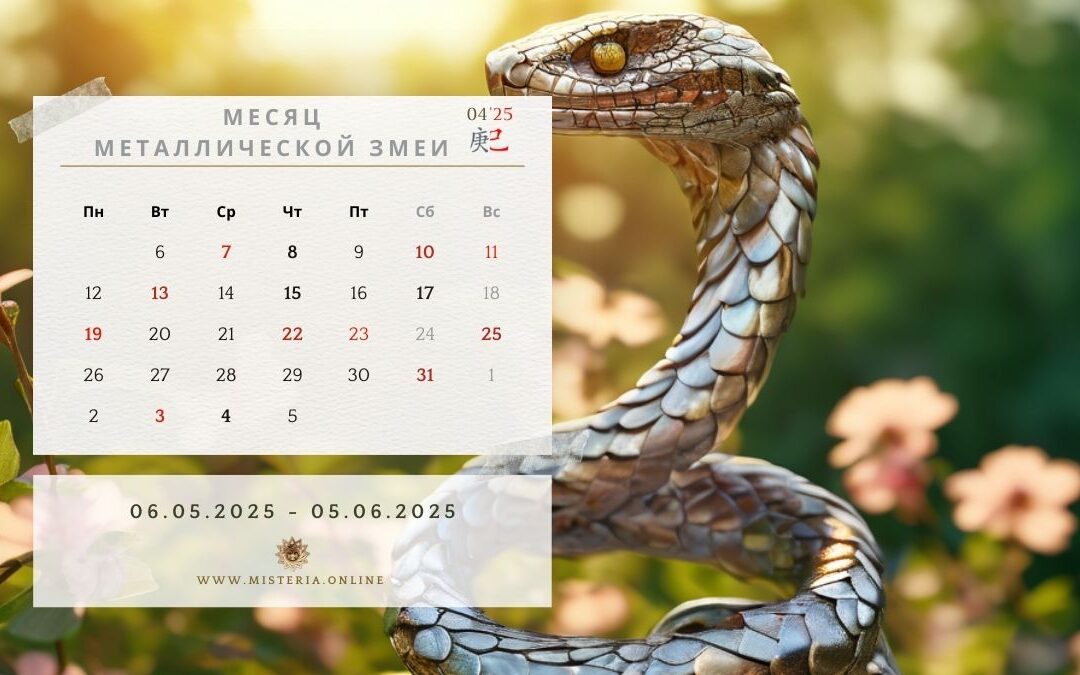 Astrologicheskie rekomendacii dlya mesyaca Zmei po Dun Gun