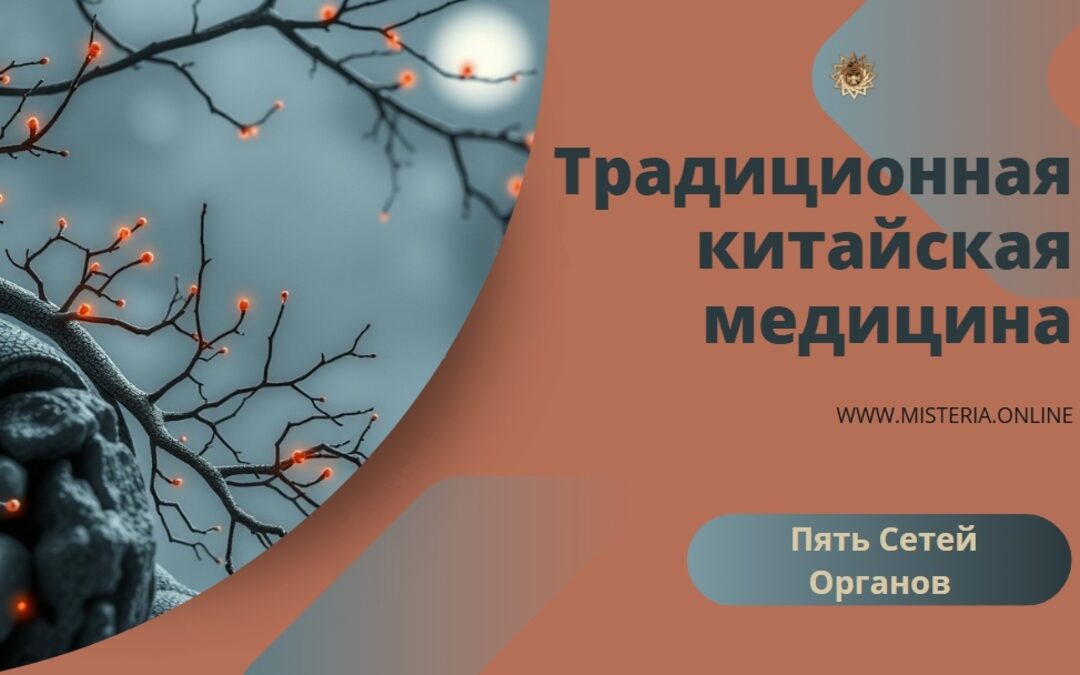 Пять Сетей Органов