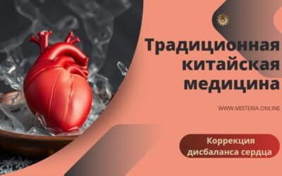 Особенности функций сердца