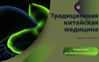Особенности функций селезёнки