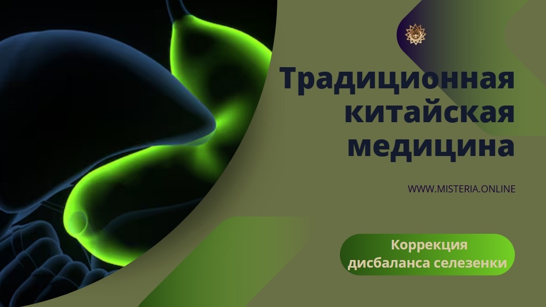 Особенности функций селезёнки