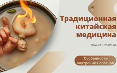 Особенности внутренних органов