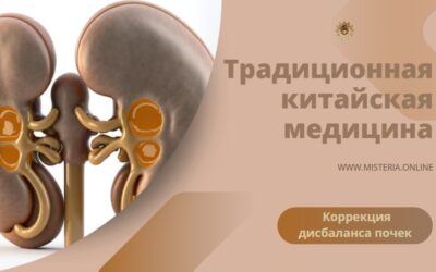 Функции почек в ТКМ
