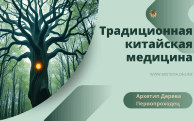 Архетип Дерева — Первопроходец