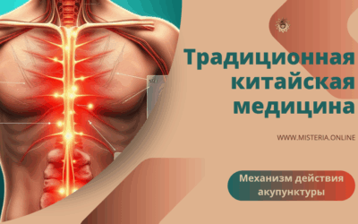 Механизм действия акупунктуры