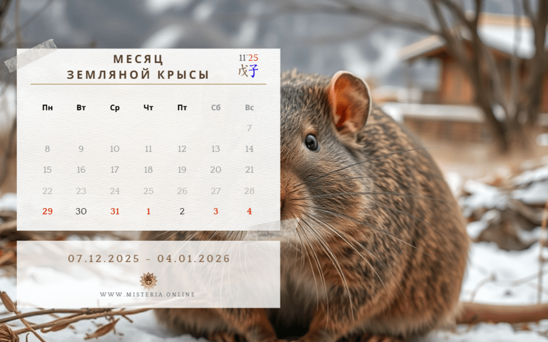Восточный прогноз с 29 декабря по 4 января