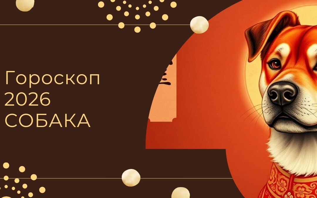 Гороскоп 2026 Собака — прогноз по Ба Цзы для знака Собака