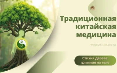 Как стихия Дерева влияет на тело и душу человека