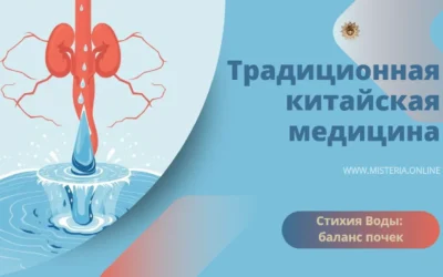 Как стихия Воды регулирует баланс почек и энергии